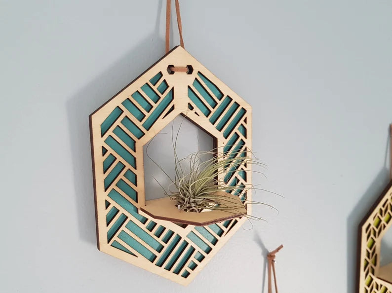 Plant Holder