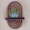Wall Air Plant Holder Display (Hanging) - Air Plant Hanger - Boho Rainbow Wood Air Plant Wall Decor