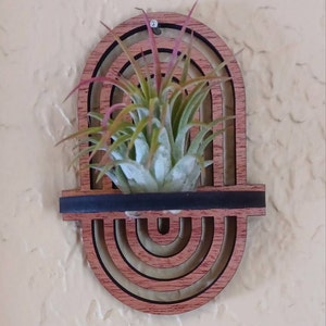 Wall Air Plant Holder Display (Hanging) - Air Plant Hanger - Boho Rainbow Wood Air Plant Wall Decor