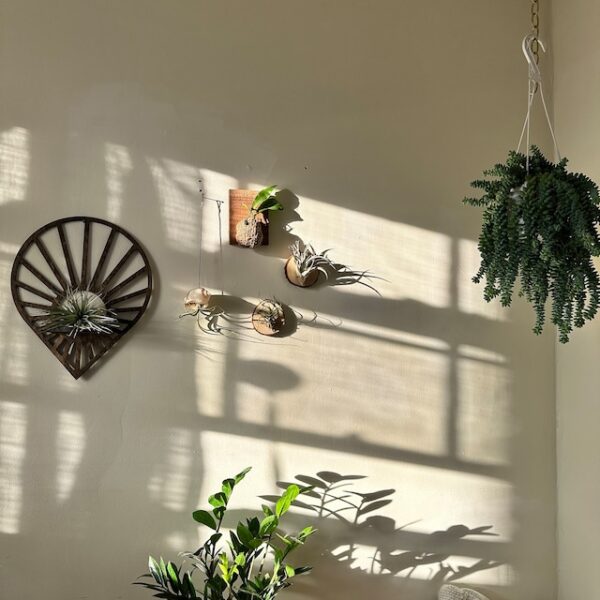 Floating Sun Teardrop shaped wood wall shelf - Accent shelf plant shelf wall décor crystal display shelf