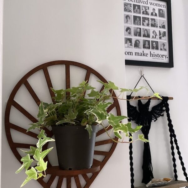 Floating Sun Teardrop shaped wood wall shelf - Accent shelf plant shelf wall décor crystal display shelf