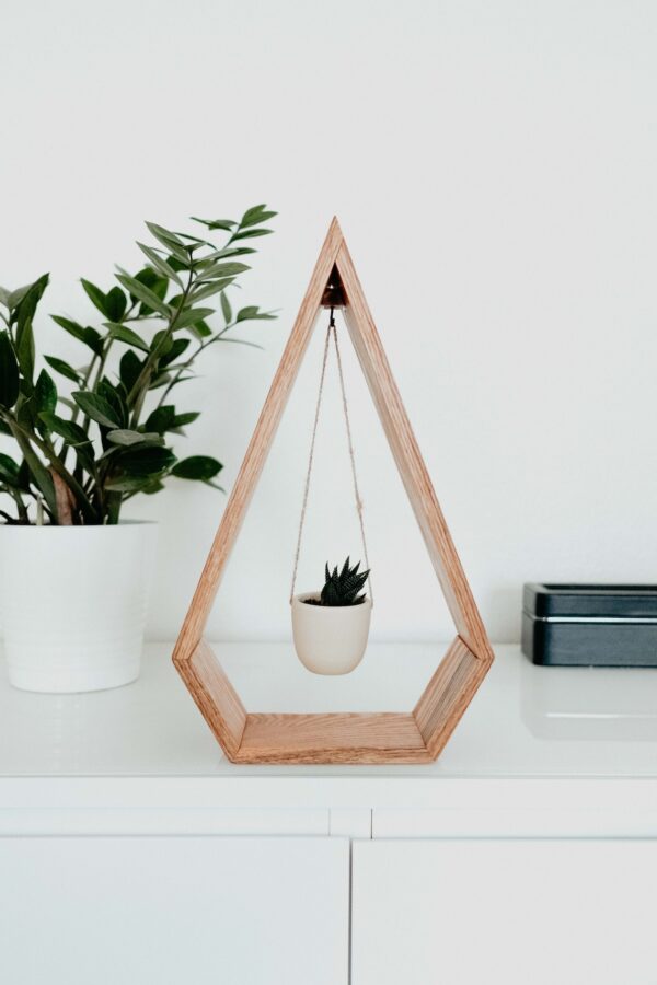 Trending Hanging Diamond Planter for Succulents, Air Plants - Wood Shelf Included