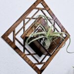Air Plant Holder by Zento Store