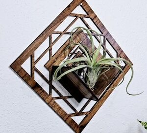 Air Plant Holder by Zento Store
