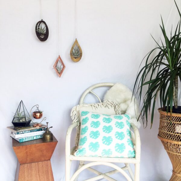 Teardrop Air Plant Hanger by Zento Store