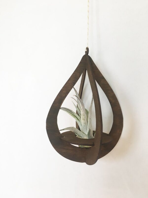 Teardrop Air Plant Hanger by Zento Store