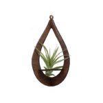 Teardrop Air Plant Hanger by Zento Store