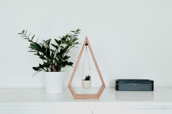 Trending Hanging Diamond Planter for Succulents, Air Plants - Wood Shelf Included