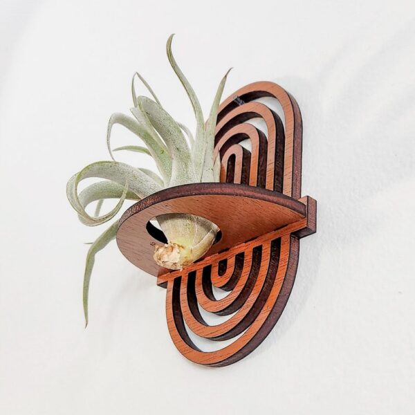 Wall Air Plant Holder Display (Hanging) - Air Plant Hanger - Boho Rainbow Wood Air Plant Wall Decor
