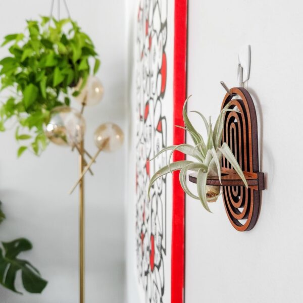 Wall Air Plant Holder Display (Hanging) - Air Plant Hanger - Boho Rainbow Wood Air Plant Wall Decor