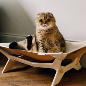 Ergonomic Cat Hammock Bed - 6MM