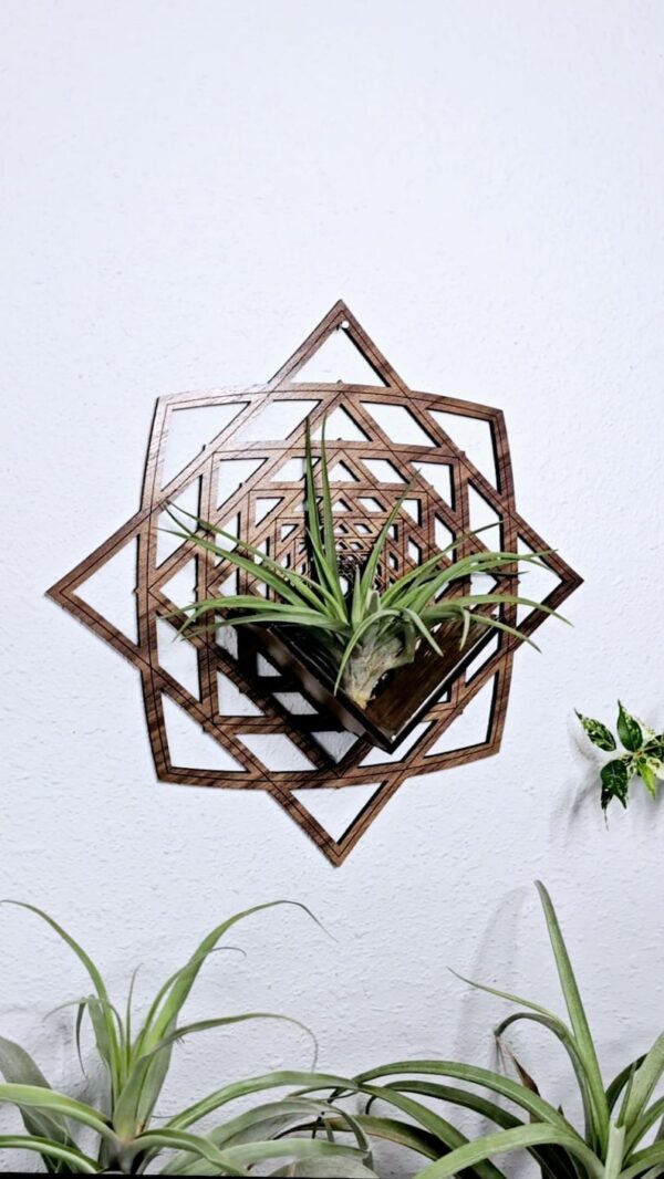 Air Plant Holder by Zento Store