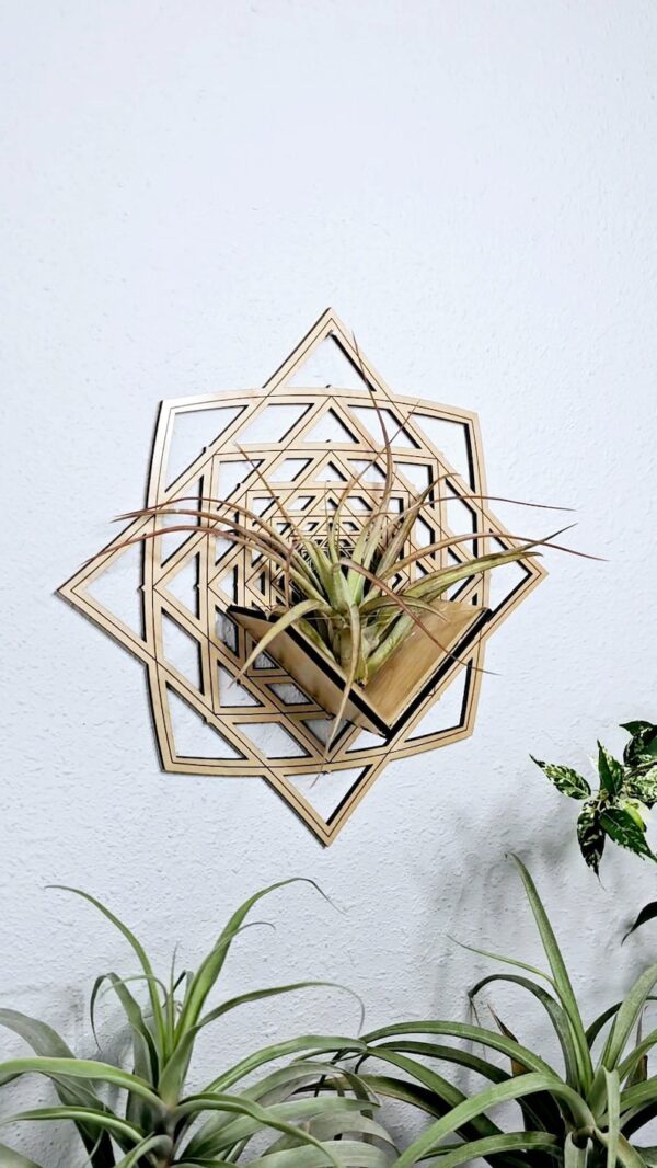 Air Plant Holder by Zento Store