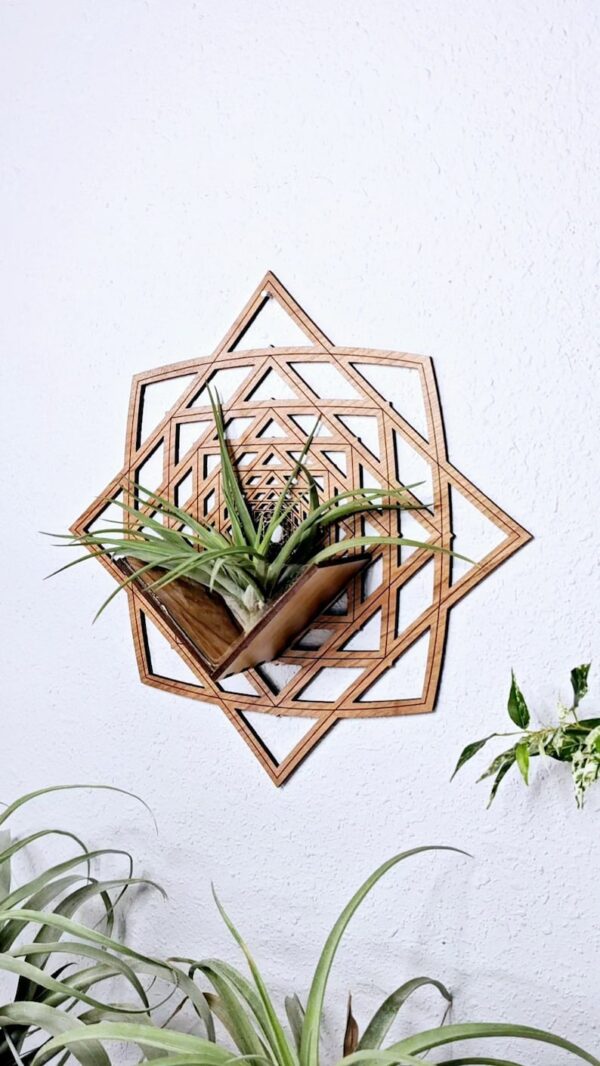 Air Plant Holder by Zento Store