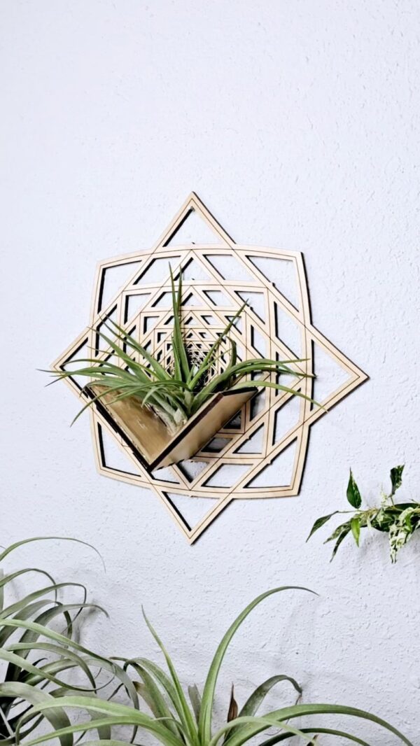 Air Plant Holder by Zento Store