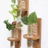 Rattan Propagation Wall Hanging, Hydro Planter - Wall Planter - Geometric Planter - Propagation Station - Test Tube Propagation, Home Decoration items, Hangings, Wall Artby Zento Stores- Customized