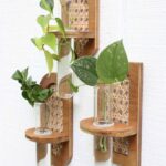 Rattan Propagation Wall Hanging, Hydro Planter - Wall Planter - Geometric Planter - Propagation Station - Test Tube Propagation, Home Decoration items, Hangings, Wall Artby Zento Stores- Customized