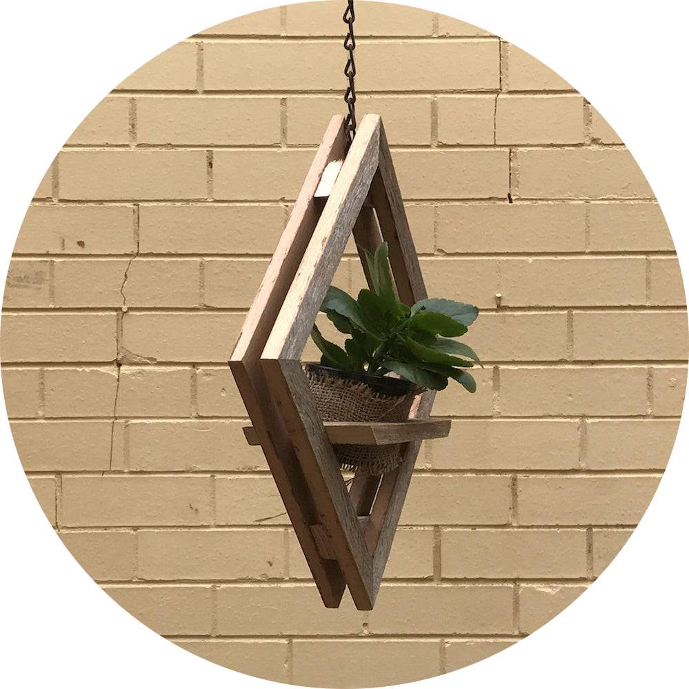 plant hanging-modified