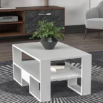 Modern Center Table High Gloss 60x90cm with Storage